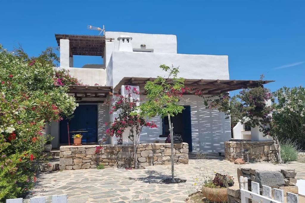 Villa Kalliopi Ambelas Paros Exterior foto